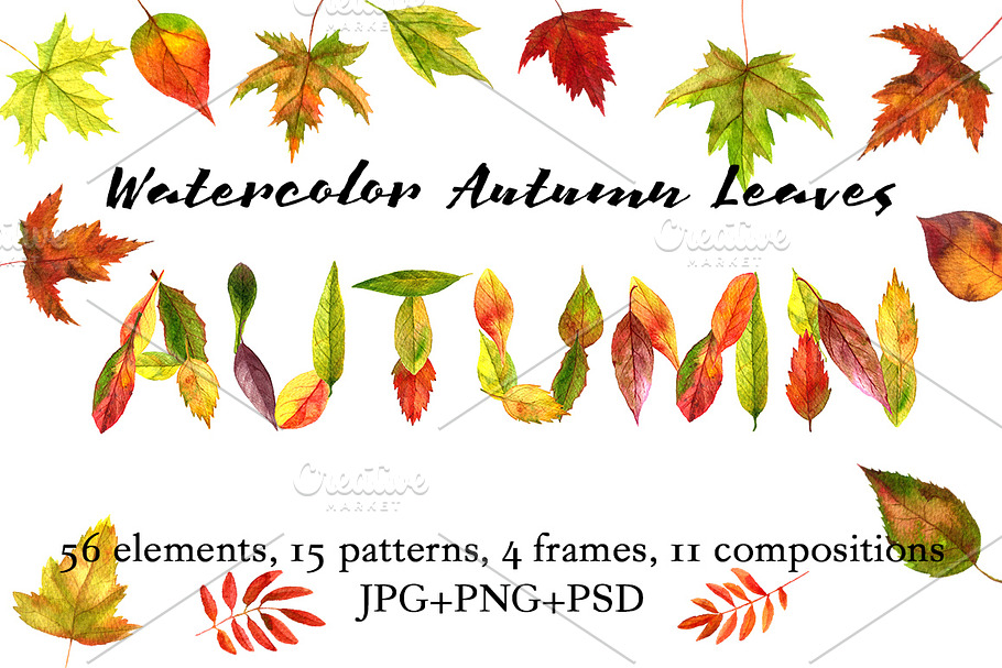 Watercolor Autumn Leaves in Illustrations - product preview 8
