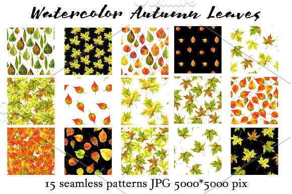 Watercolor Autumn Leaves in Illustrations - product preview 2