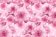 Cherry sakura flower digital art