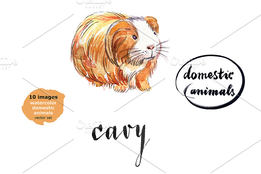 Watercolor vector domestic animals in Illustrations - product preview 8