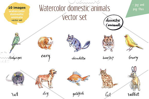 Watercolor vector domestic animals in Illustrations - product preview 1