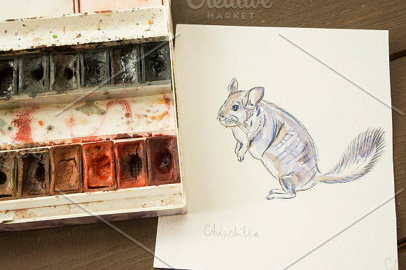 Watercolor vector domestic animals in Illustrations - product preview 2