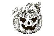 Halloween pumpkin engraving style vector