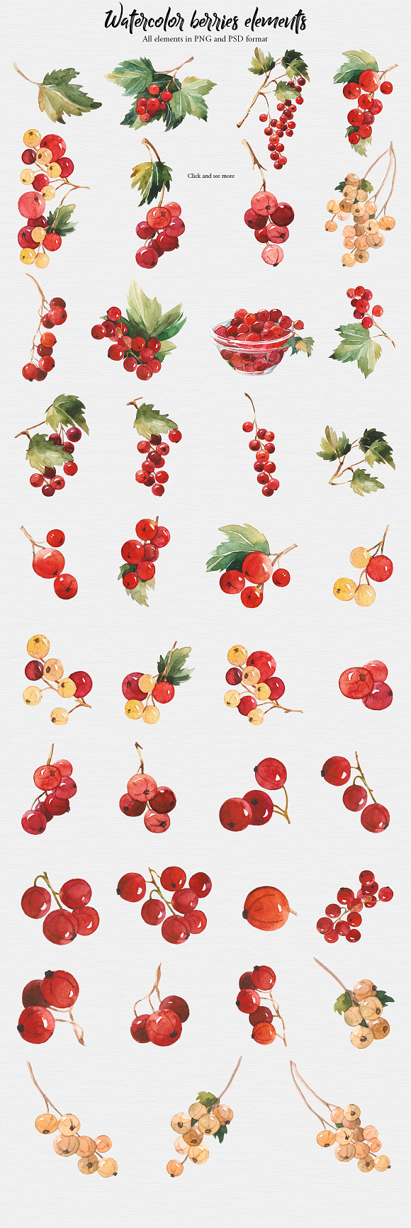 Watercolor currant in Graphics - product preview 1