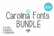 41 fonts bundle at only $40
