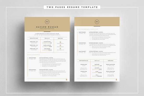 Professional Resume 4 Pages