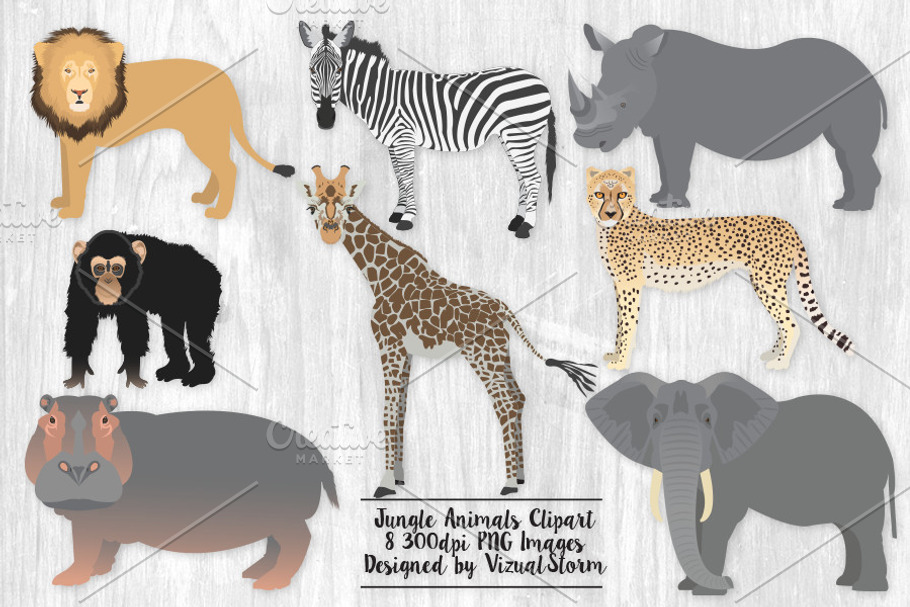Jungle Animal Clip Art Illustrations in Illustrations - product preview 8