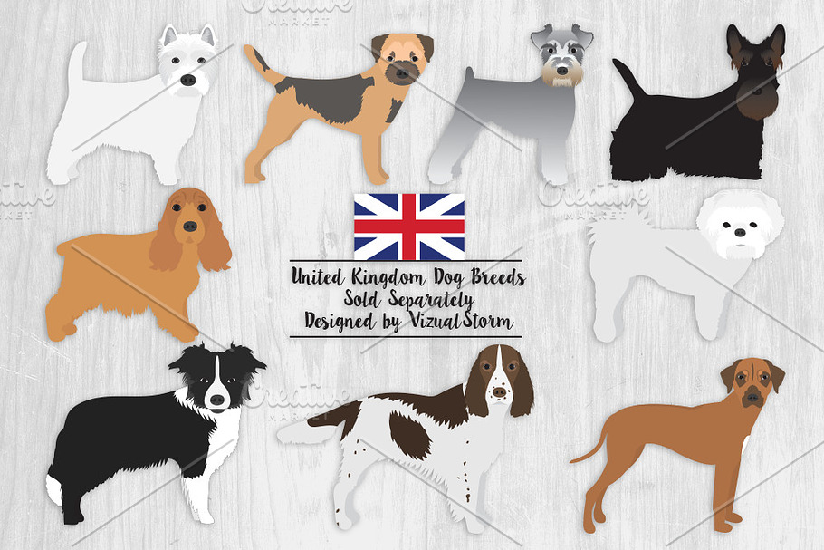 United Kingdom Dog Breeds Clipart