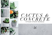 Cactus & Concrete - Styled Bundle