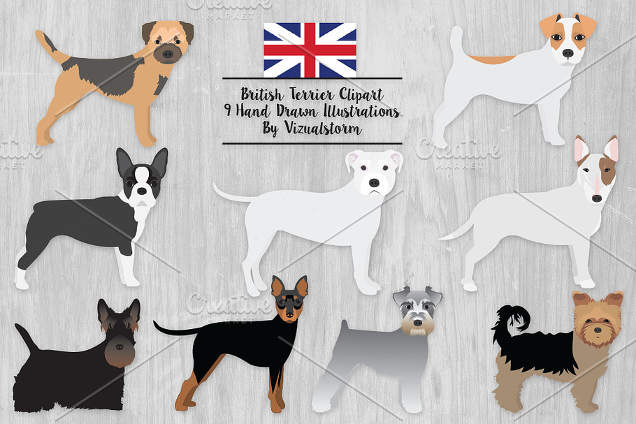 British Terrier Dog Breeds Clipart in Illustrations - product preview 8