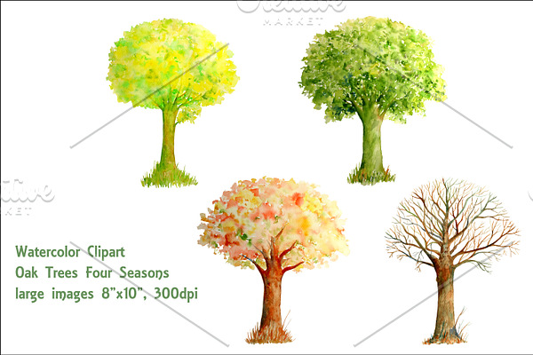 Watercolor Oak Tree Four Seasons