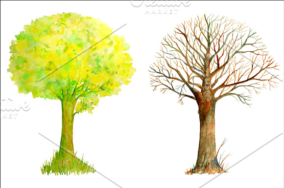 Watercolor Oak Tree Four Seasons in Illustrations - product preview 1
