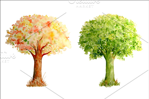 Watercolor Oak Tree Four Seasons in Illustrations - product preview 2