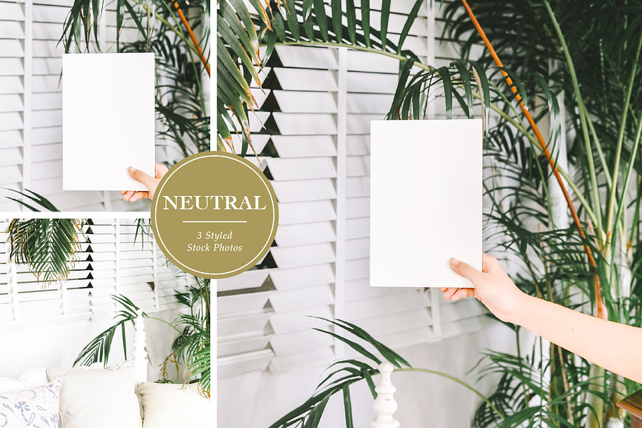Neutral Tropical Styled Stock Photos in Mobile & Web Mockups - product preview 8