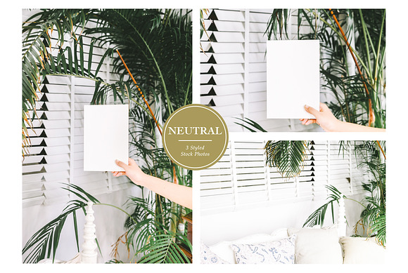 Neutral Tropical Styled Stock Photos in Mobile & Web Mockups - product preview 1
