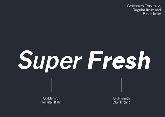 Goldsmith - A Modern Sans Serif in Sans-Serif Fonts - product preview 3
