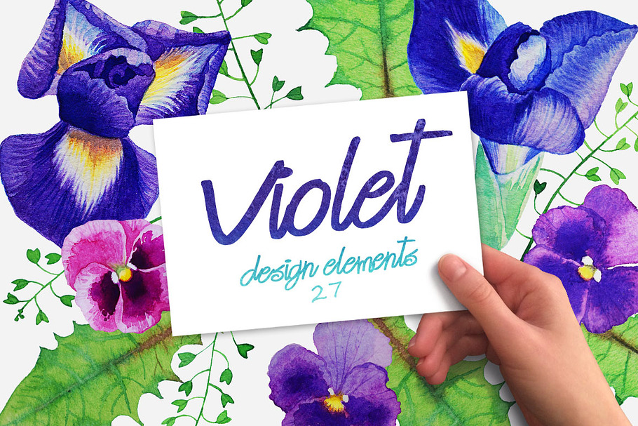 Violet Set