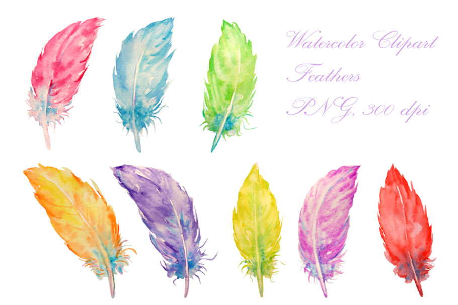 Watercolor Feathers Clipart in Objects - product preview 8