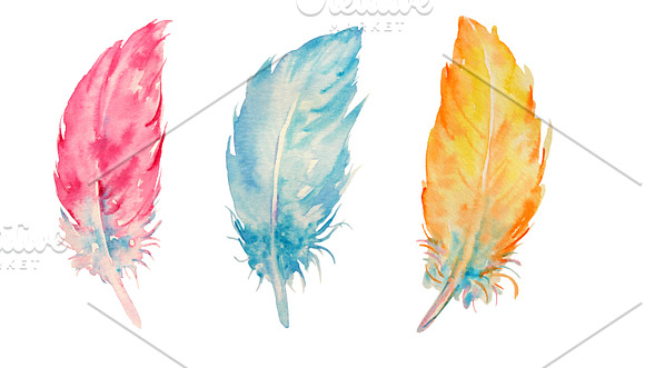 Watercolor Feathers Clipart in Objects - product preview 1