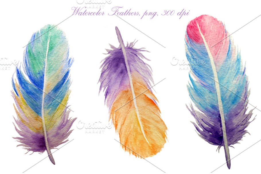 Watercolor Detailed Feathers