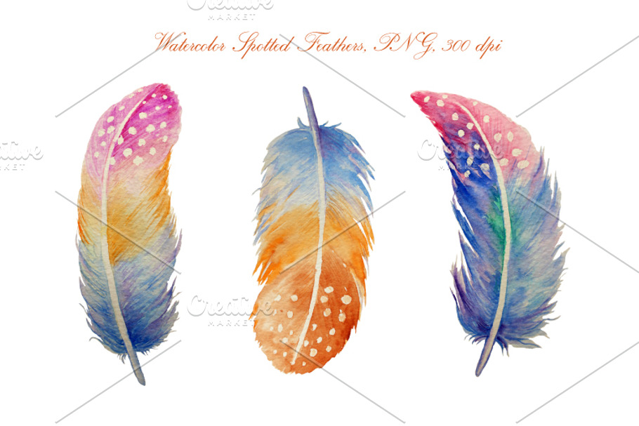 Watercolor Spotted Feathers Clipart