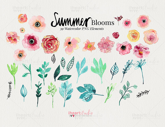 Summer Blooms Watercolors in Illustrations - product preview 2