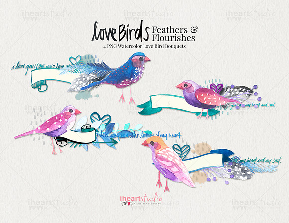 Love Birds Watercolors in Illustrations - product preview 1