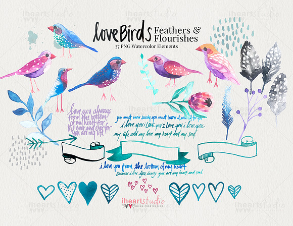 Love Birds Watercolors in Illustrations - product preview 2
