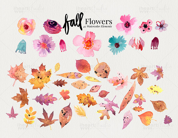 Fall Flower Watercolors in Illustrations - product preview 2