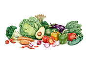 Illustration of Vegetables