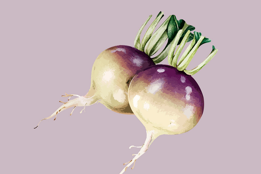 Illustration of Vegetables in Illustrations - product preview 8