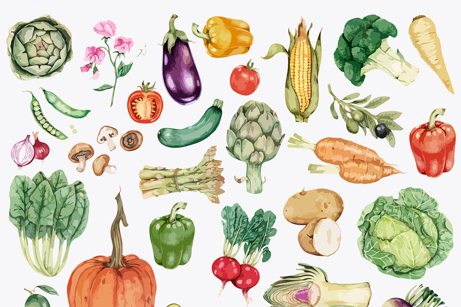 Illustration of Vegetables in Illustrations - product preview 8