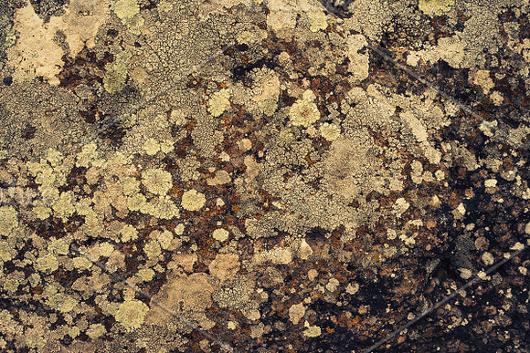 Rock Solid - Rock & Stone Collection in Textures - product preview 20