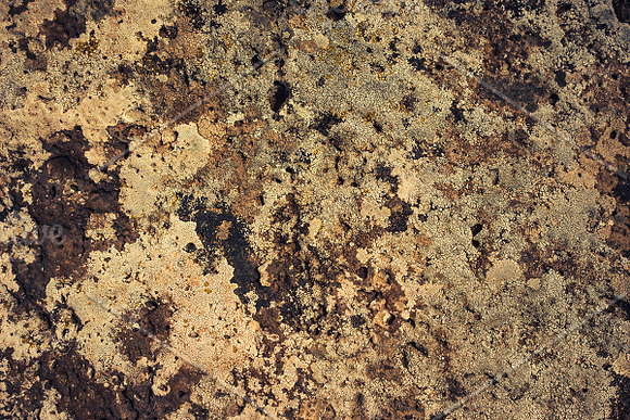 Rock Solid - Rock & Stone Collection in Textures - product preview 22