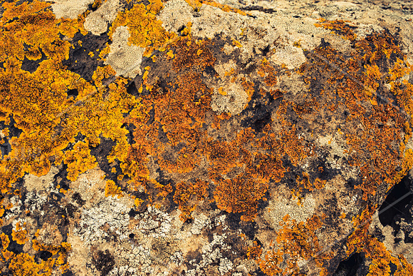 Rock Solid - Rock & Stone Collection in Textures - product preview 24