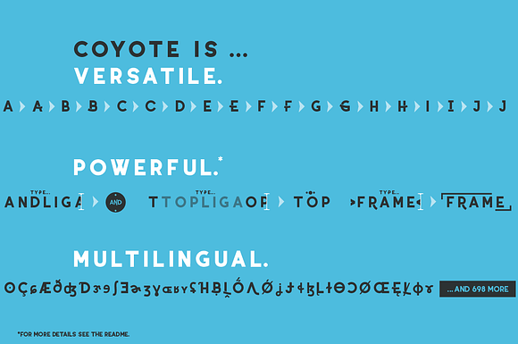 Coyote - crazy&retro font [Family] in Retro Fonts - product preview 3