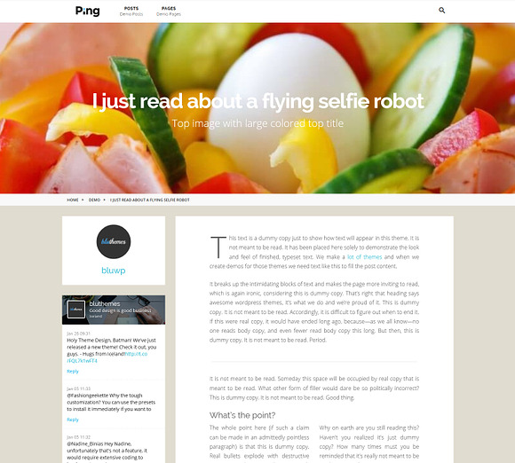 Ping | Charming Personal WP Theme in WordPress Blog Themes - product preview 2