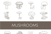 Different kinds of mushrooms