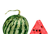 Illustration of tropical fruit