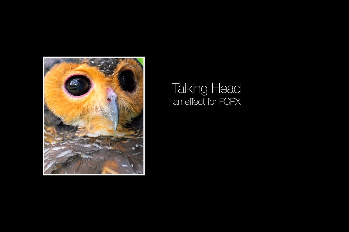 Talking Head in Photoshop Plugins - product preview 8