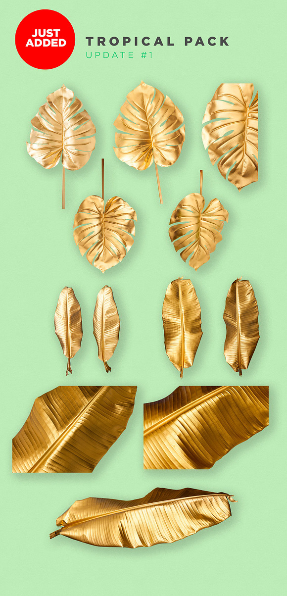 Gold Leaves in Objects - product preview 3