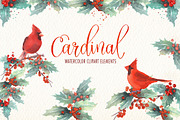 Cardinal bird watercolor clipart set
