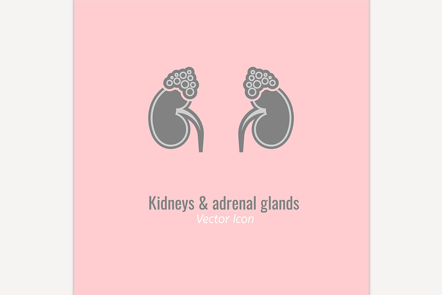 Endocrine Glands Image in Illustrations - product preview 8