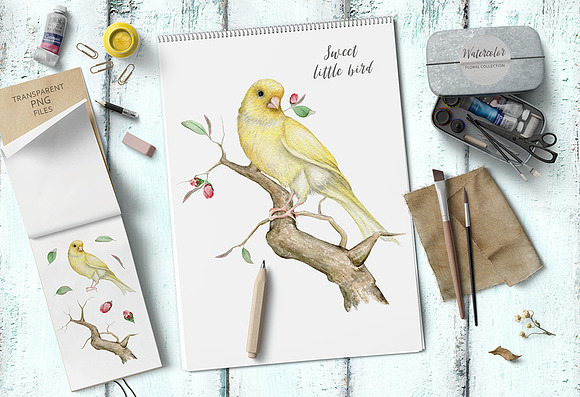 15% OFF Watercolor Floral Collection in Illustrations - product preview 3