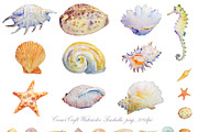 Watercolor Seashell Seahorse