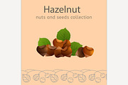 Hazelnut Image