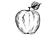 Apple fruit engraving vector illustration