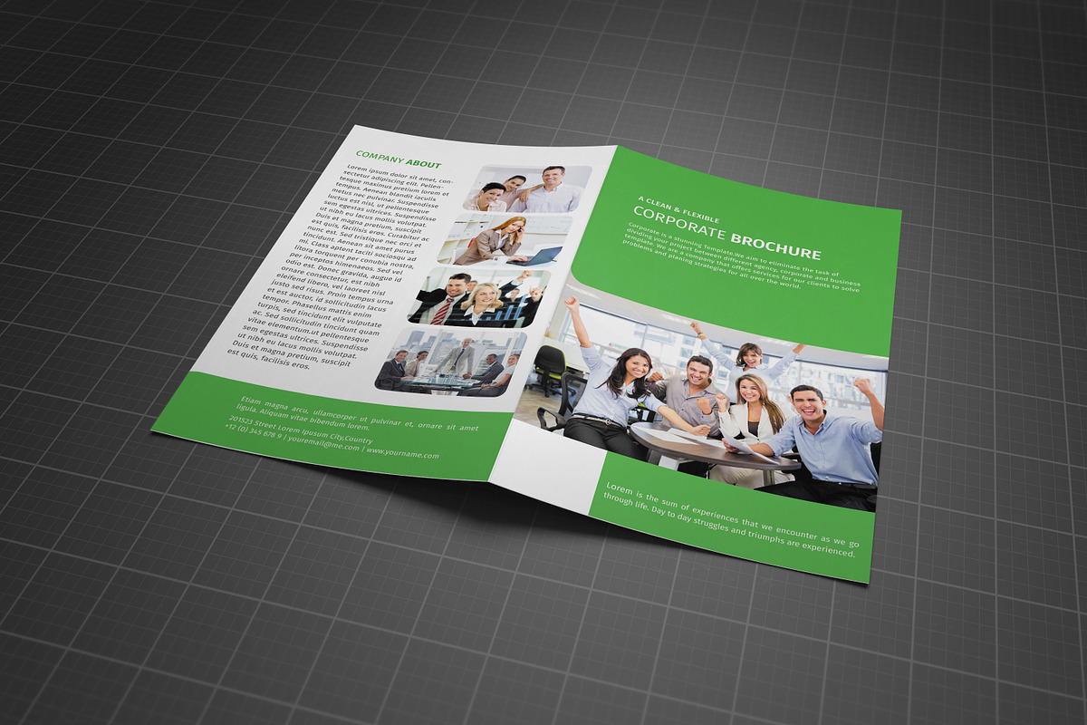 Bifold Business Brochure Vol 14 in Brochure Templates - product preview 8