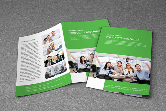 Bifold Business Brochure Vol 14 in Brochure Templates - product preview 1