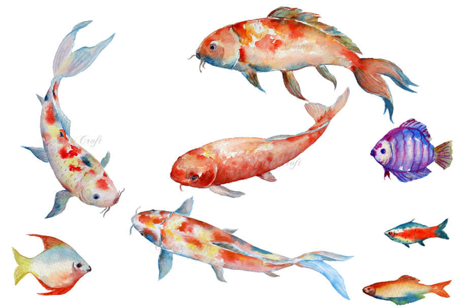 Watercolor Fish Koi Red Carp